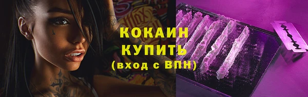 трава Аркадак