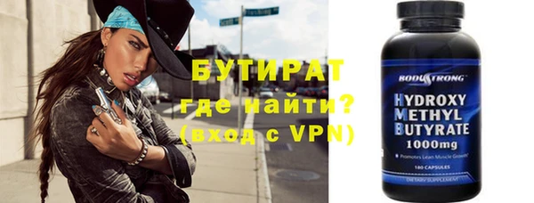 индика Богданович