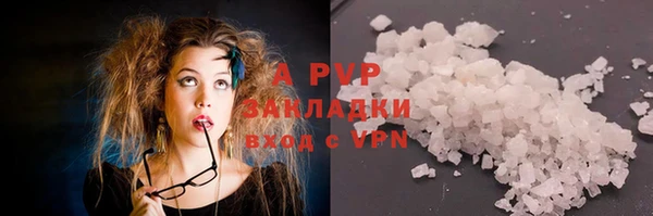 трава Аркадак
