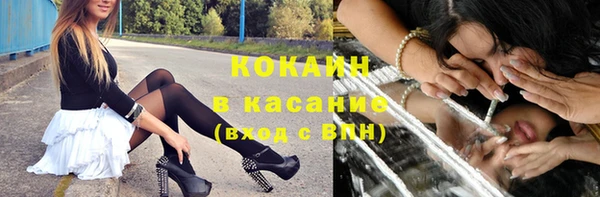 трава Аркадак