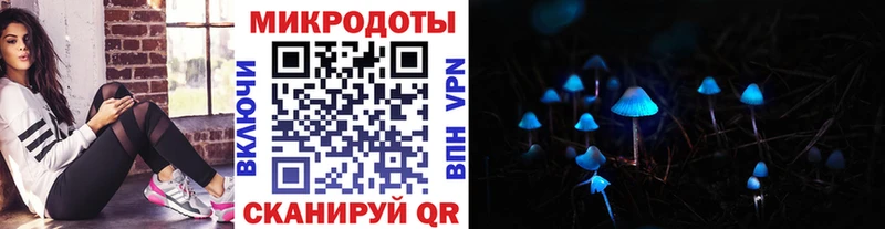 Псилоцибиновые грибы Psilocybine cubensis  Валдай 